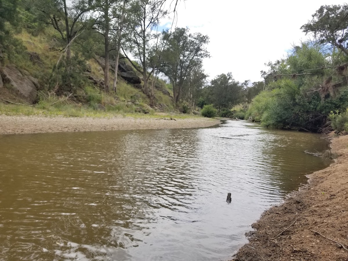 ACES Bathurst