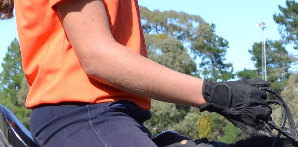 Applied Posture Riding Physiotherapist/Rider Biomechanics Coach