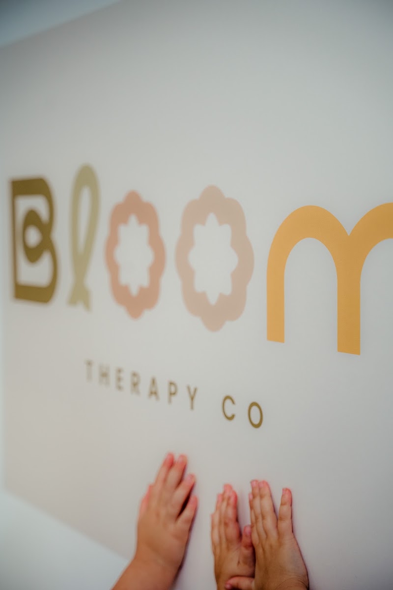 Bloom Therapy Co Occupational Therapy for children