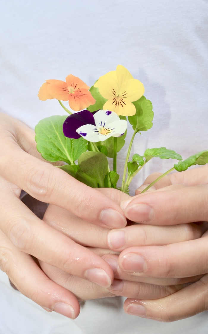 Blossom Therapy Services Speech Pathology