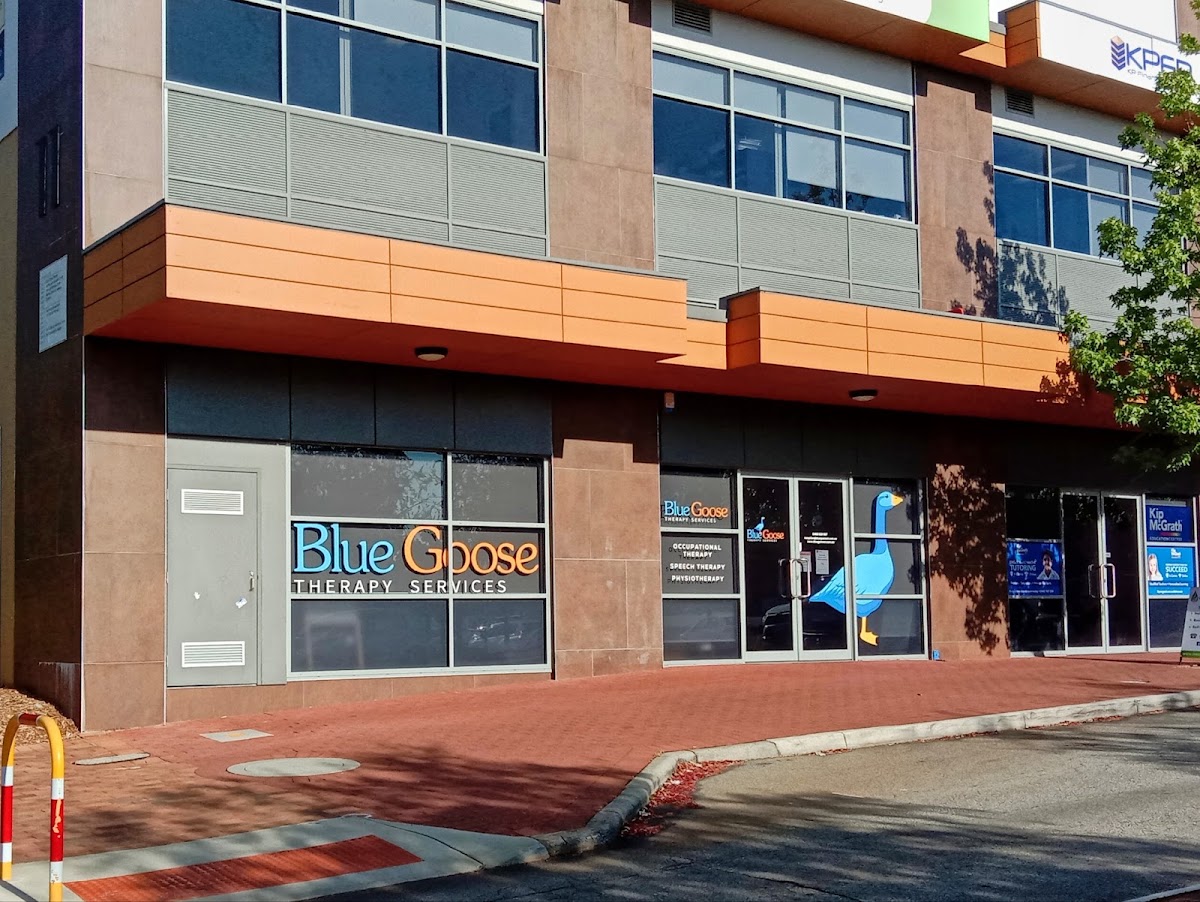 Blue Goose Therapy Services