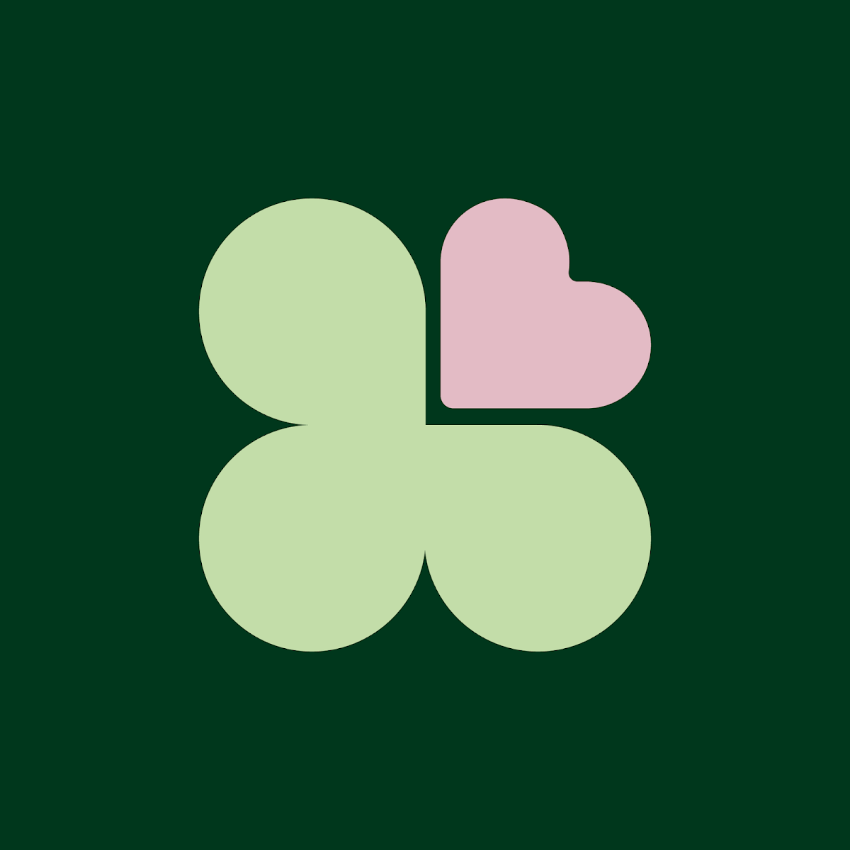 Caring Supports For You