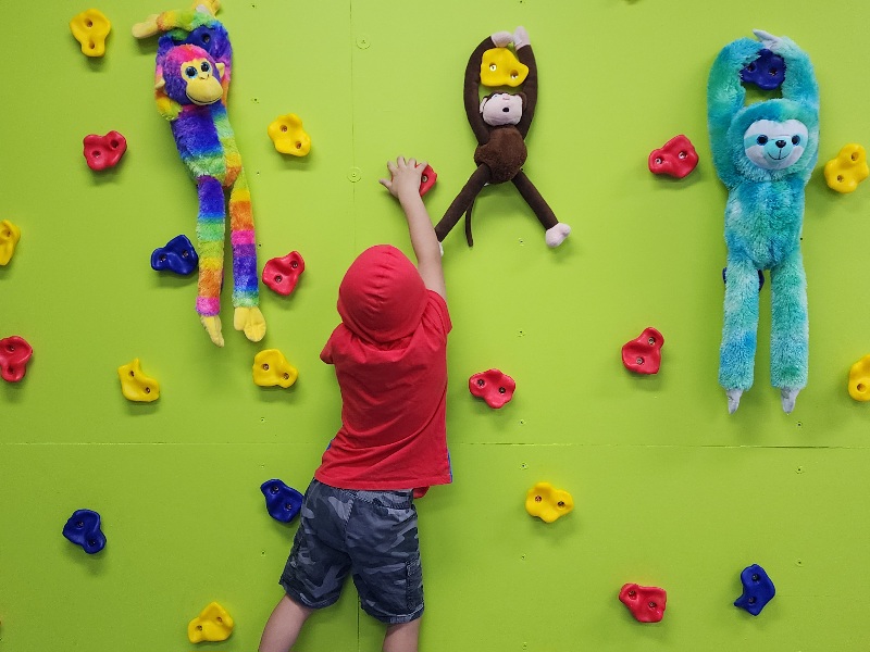 Cheeky Monkeys Occupational Therapy for Children