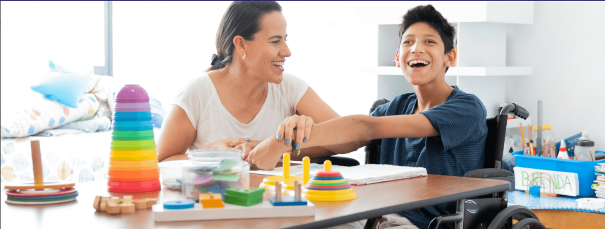 Disability Plan Services