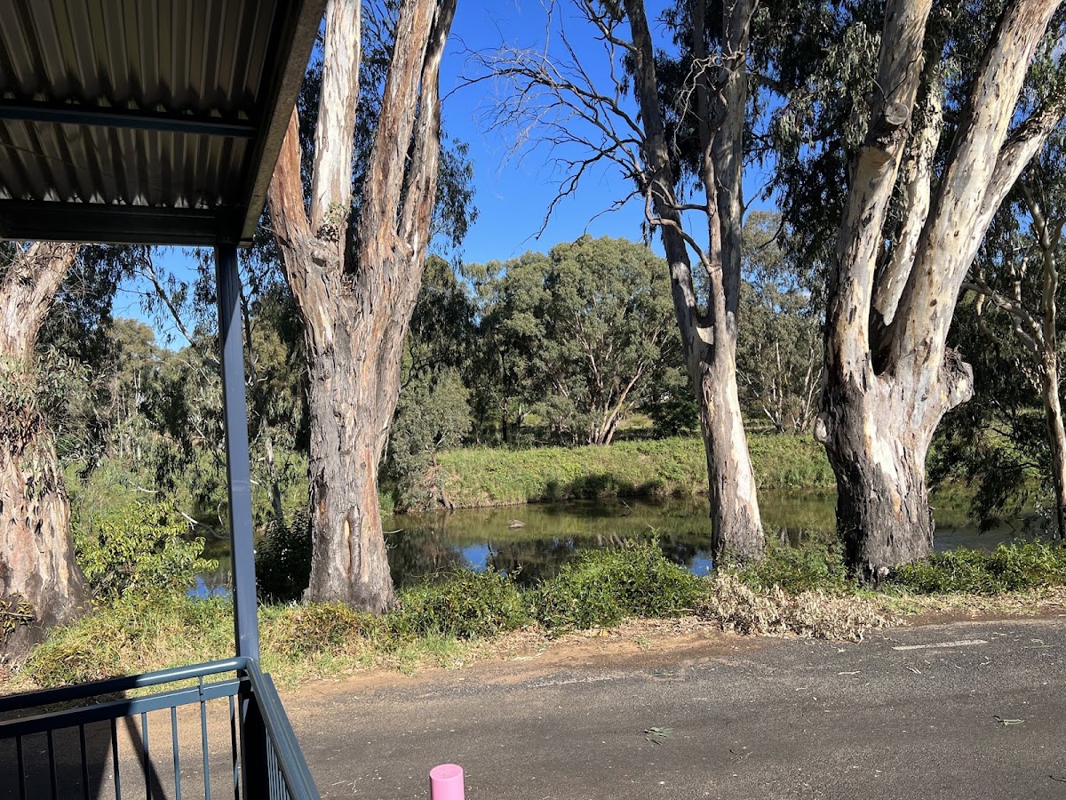 Elephant in the Room Gilgandra