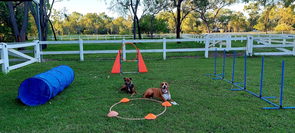 Elska Care Animal Assist