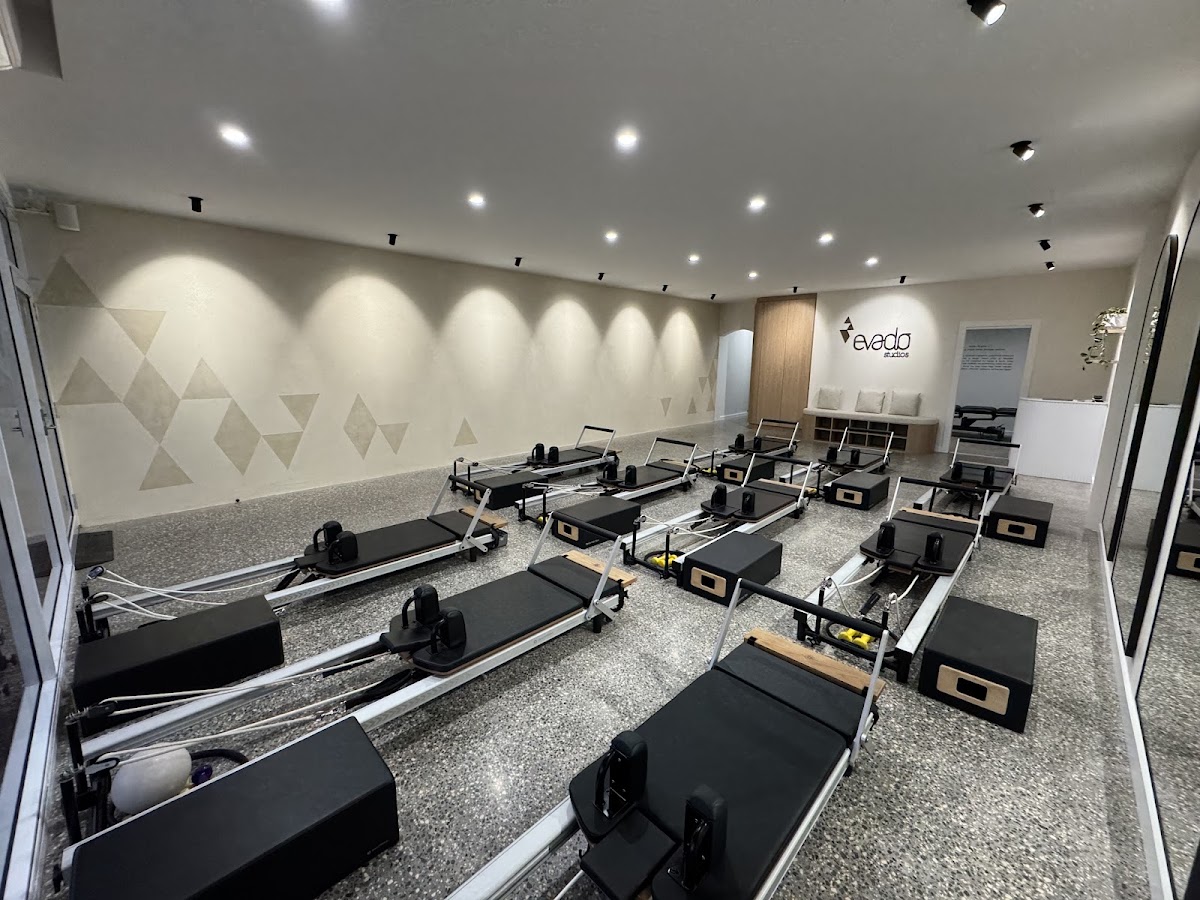 Evado Studios Nelson Bay