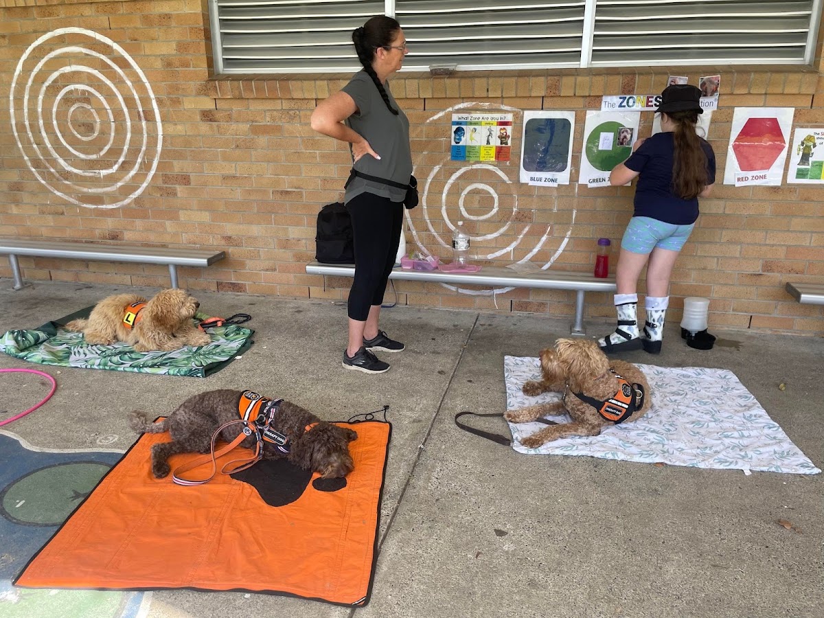 Fur Therapy Australia