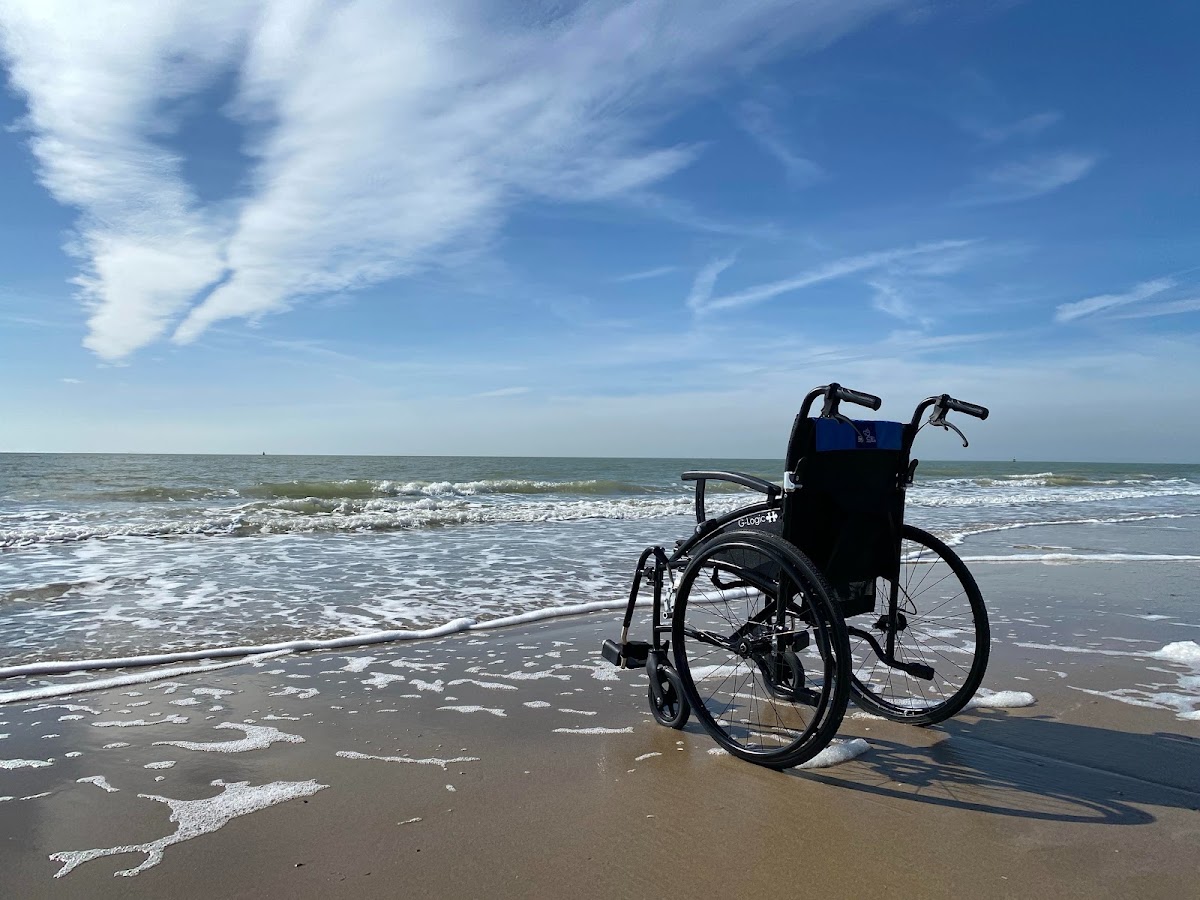 INEED Care - Best NDIS Provider Northern Beaches, Sydney