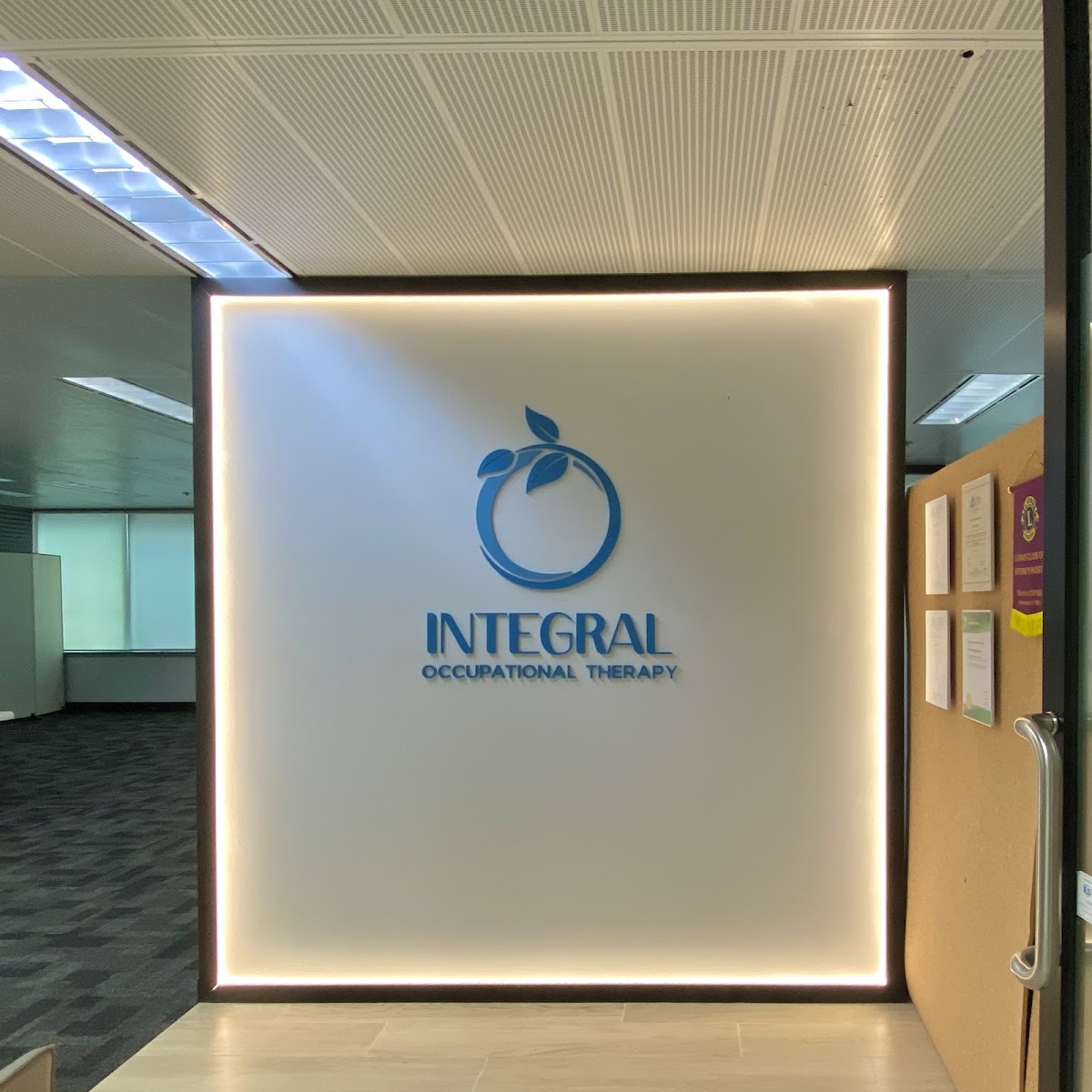 Integral Occupational Therapy
