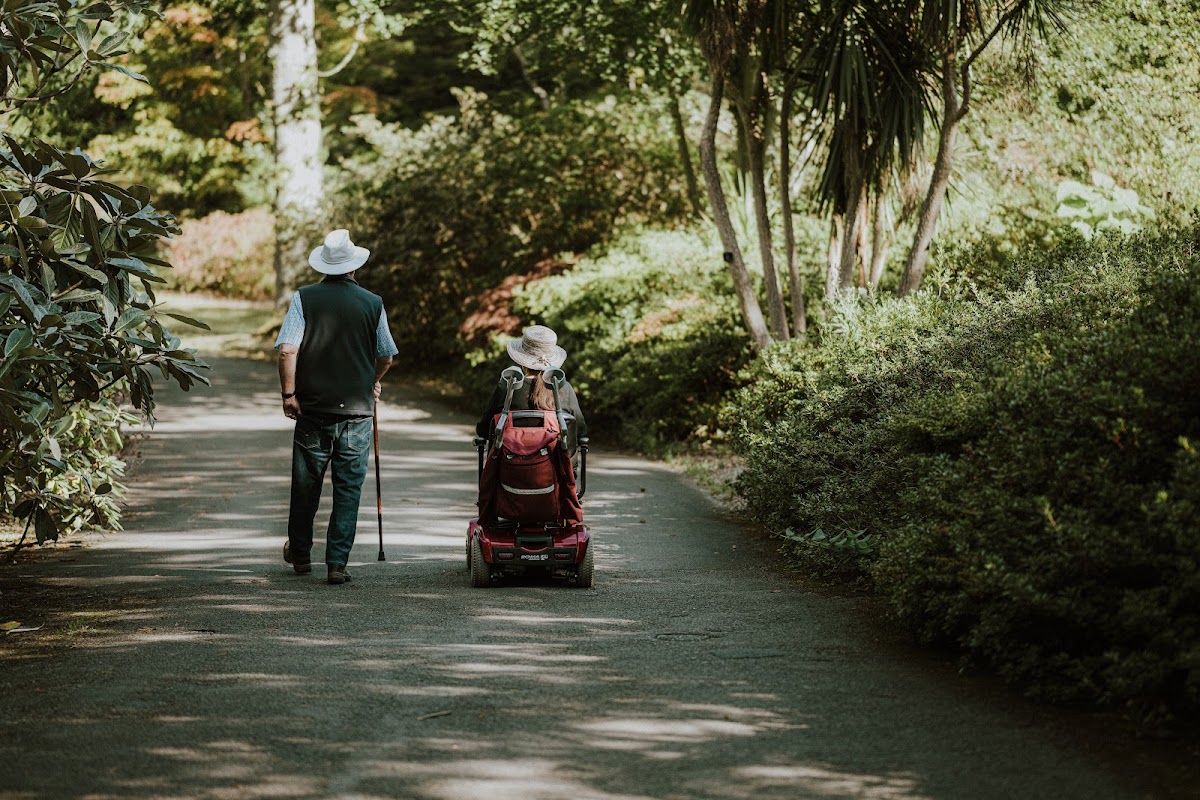 Intervision Disability Services - Registered NDIS Service Provider
