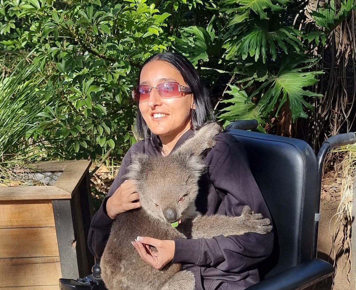 Koala Adventure Respite