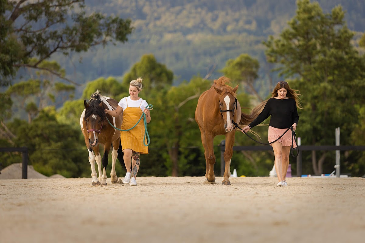 Leading the Way | Equine Therapy Yarra Valley