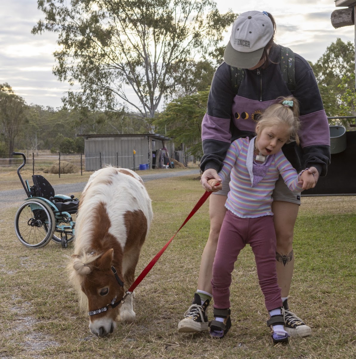 Lionheart Inclusion, Training & Support Services | NDIS | Aged Care Gladstone