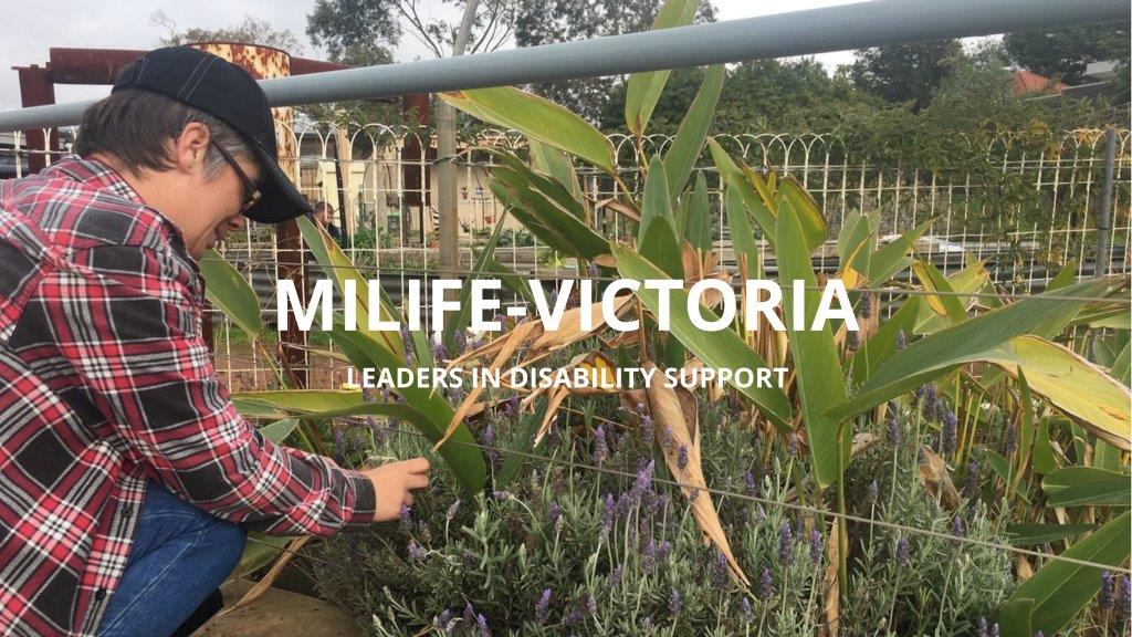 MiLife-Victoria Inc.