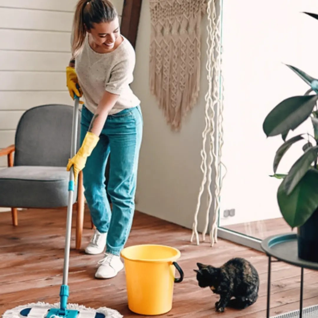 Mindful Home and Living
