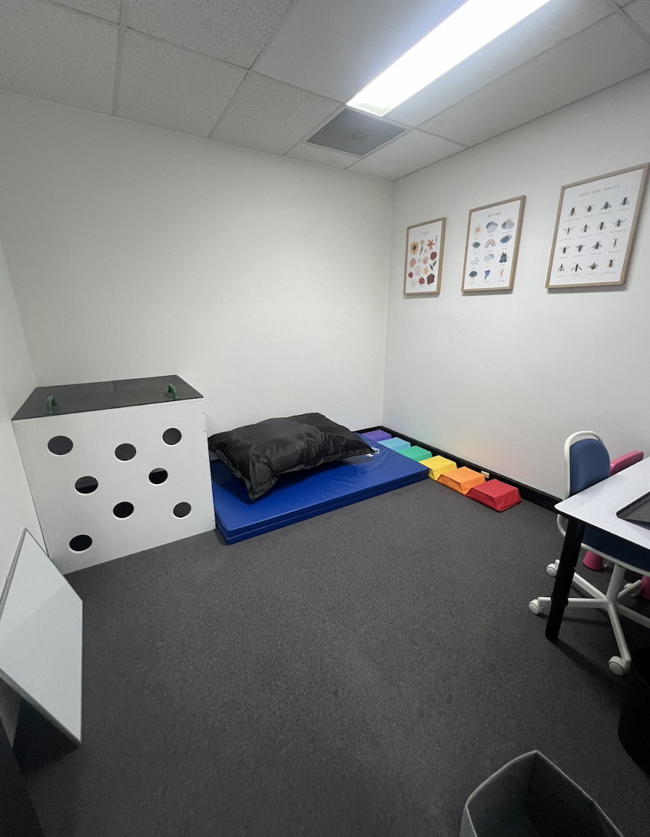 Natalie B Paediatric Occupational Therapy