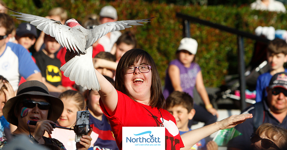 Northcott Hurstville