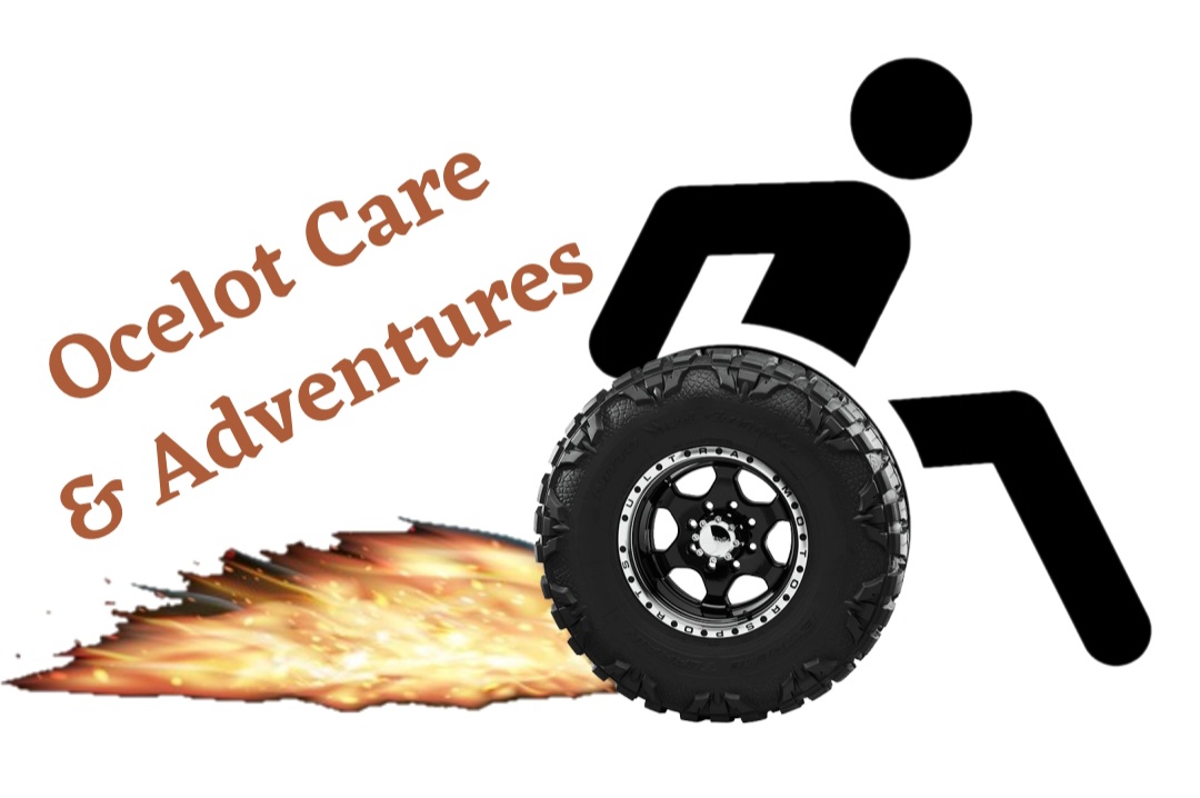 Ocelot Care & Adventures Pty Ltd