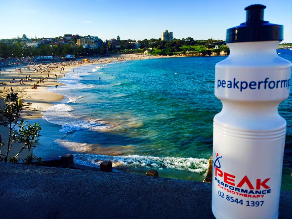 Peak Performance Physiotherapy Gymea