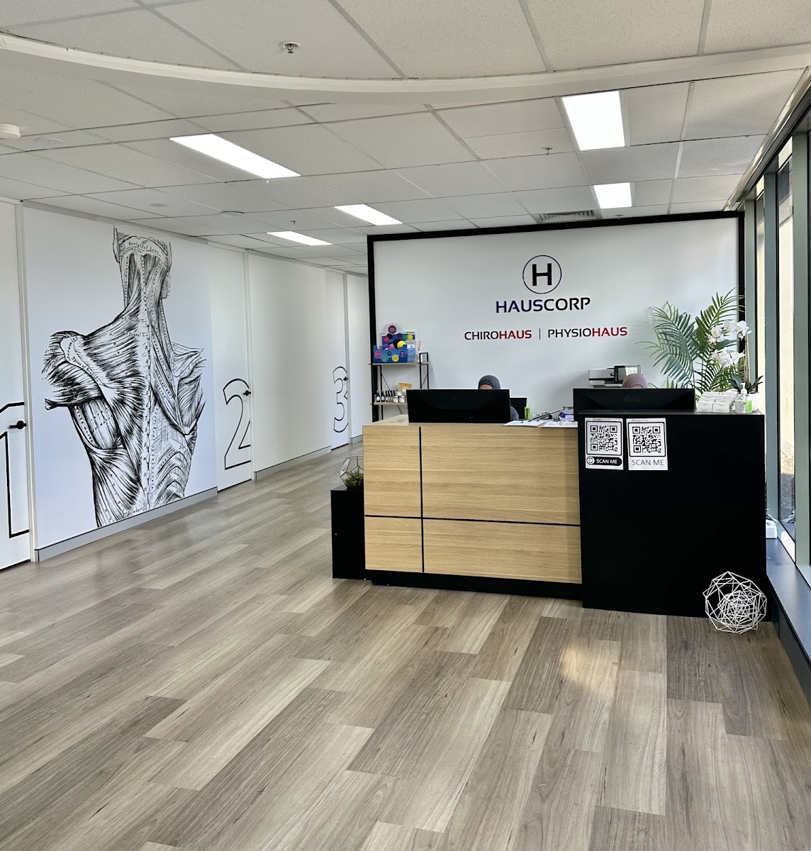 PhysioHaus