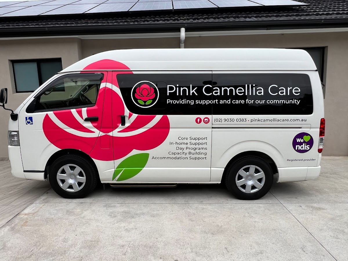 Pink Camellia Care