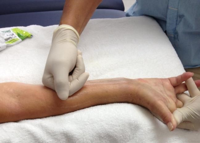 Primary Physio Care P/L