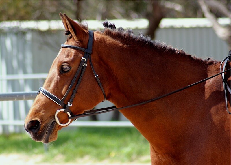 RDA Victoria