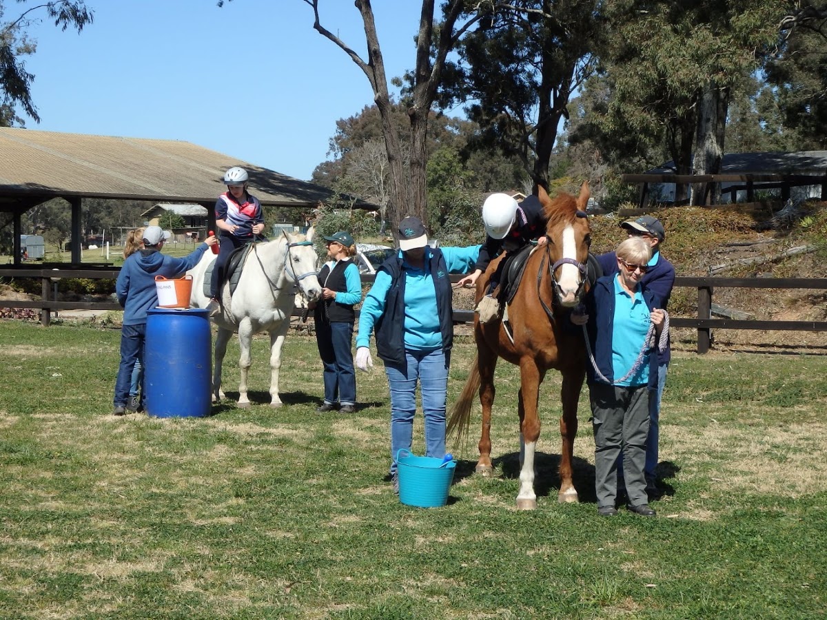 Riding for The Disabled Assoc NSW Tall Timbers Centre