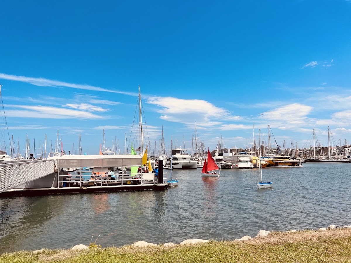Sailability Bayside