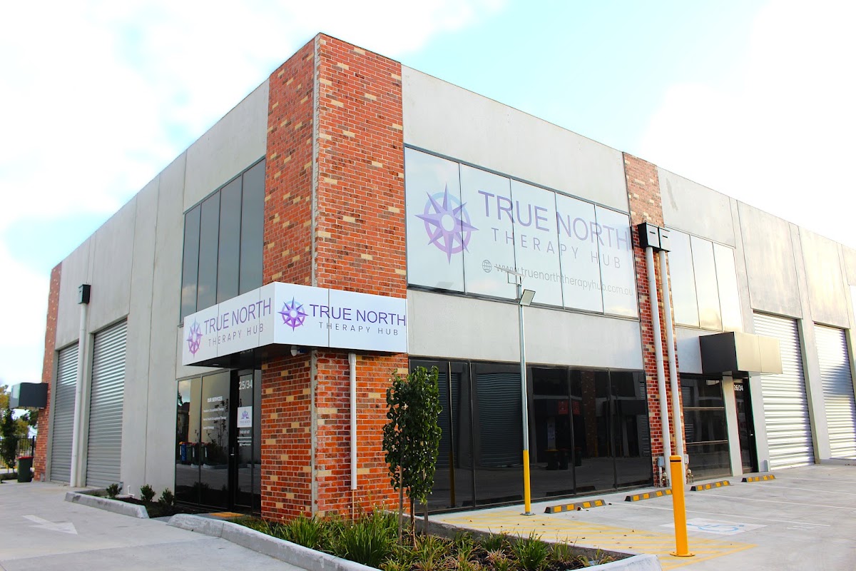 True North Therapy Hub