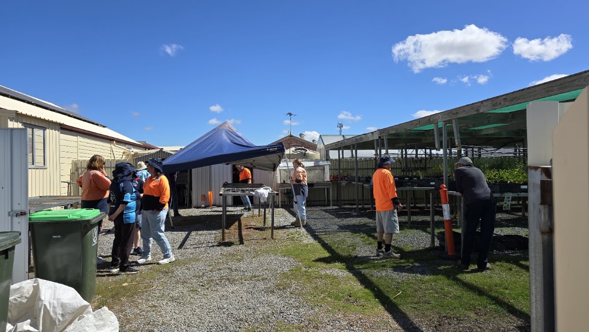 YP Leisure Options - Native Tree Propagation Nursery